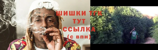 гашик Абаза