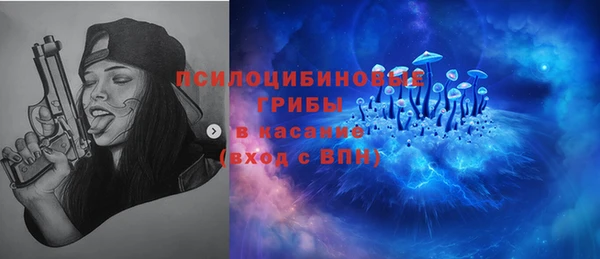 молекула духа Абинск