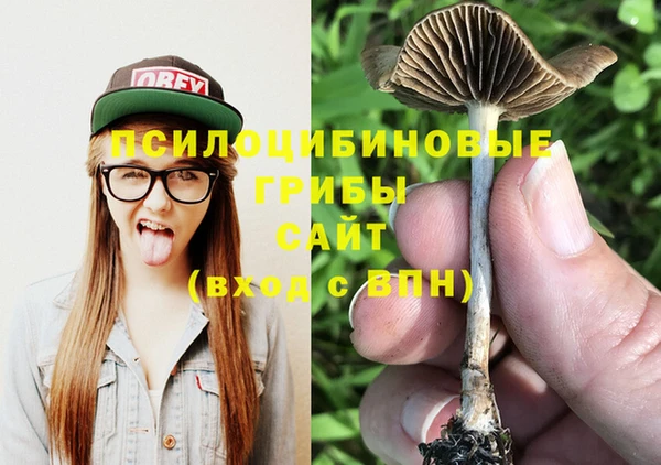 гашик Абаза