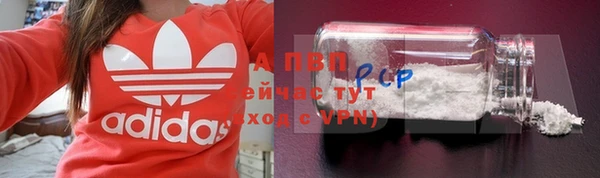 гашик Абаза