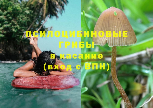 молекула духа Абинск