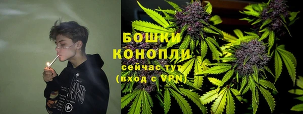 молекула духа Абинск