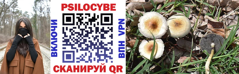 Псилоцибиновые грибы мицелий гидра вход Фрязино