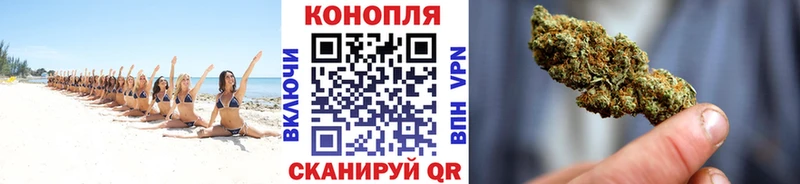 Шишки марихуана Amnesia  mega зеркало  Фрязино  продажа наркотиков 